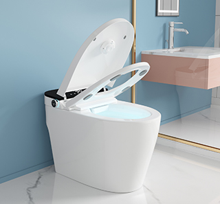 /content/dam/ap-bathsense-revamp/range-assets/desktop/Neocontrol Smart Toilet.jpg